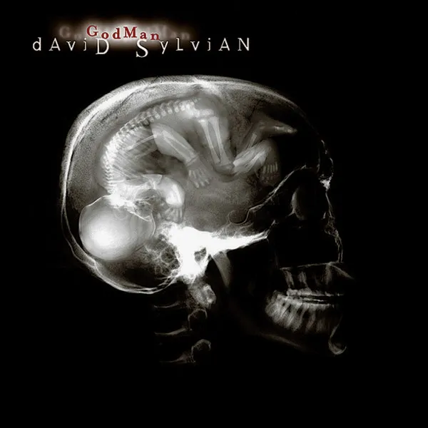 DAVID SYLVIAN / デヴィッド・シルヴィアン / GODMAN