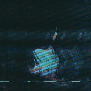 LUSTS / WAVES