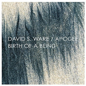 DAVID S WARE / デヴィッド・S・ウェア / Apogee / Birth of a Being