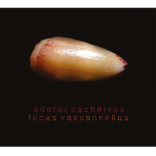 LUCAS VASCONCELLOS / ルーカス・ヴァスコンセロス / ADOTAR CACHORROS