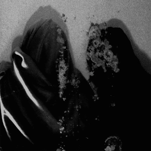 FLUISTERAARS / LUWTE