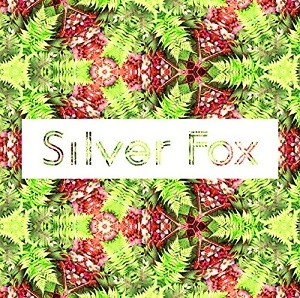 eimie / Silver Fox E.P.