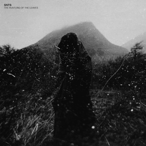SNTS / RUSTLING OF THE LEAVES