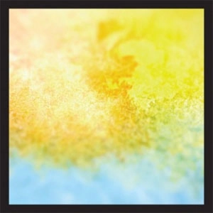 BIRTHMARK (US) / How You Look When You're Falling Down