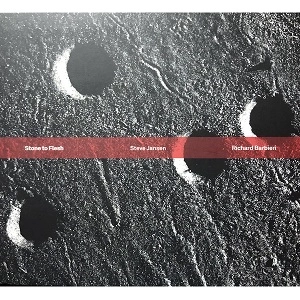 STEVE JANSEN / RICHARD BARBIERI / STONE TO FLESH
