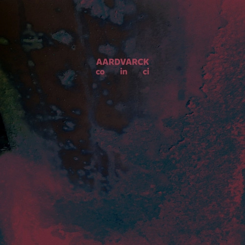 AARDVARCK / CO IN CI