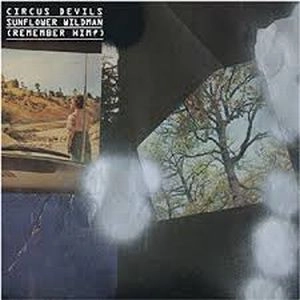 CIRCUS DEVILS / GIRL IN SPACE / SUNFLOWER WILDMAN