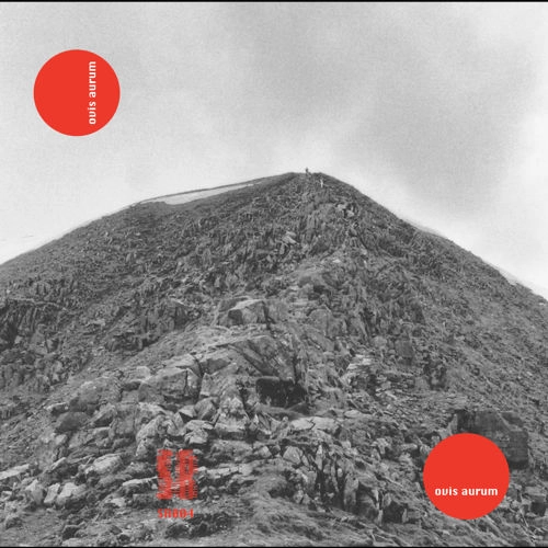 OVIS AURUM / SCAN TRANSFER EP