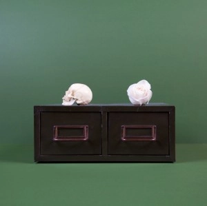 TROPICS OF CANCER / ARCHIVE: THE DOWNWARDS SINGLES