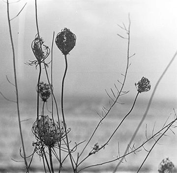 RECONDITE  / レコンダイト / Ｐｌａｃｉｄ