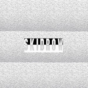 JAMES FERRARO / ジェイムス・フェラーロ / SKID ROW