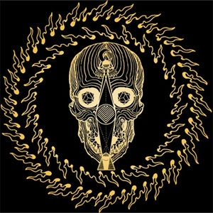CONVERGE / コンヴァージ / THOUSANDS OF MILES BETWEEN US