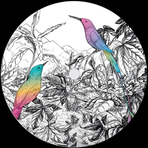 VISION OF PANORAMA / TWO BIRDS