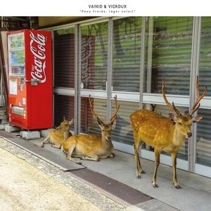 MIKA VAINIO & FRANCK VIGROUX / PEAU FROIDE,LEGER SOLEIL