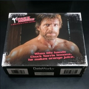 CHUCK NORRIS / チャックノリス / Chuck Norris 2016 Desk Calendar
