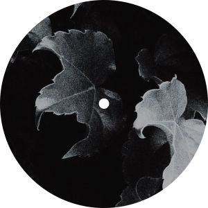 STL / MESSAGE OF SOUND - PART 1 