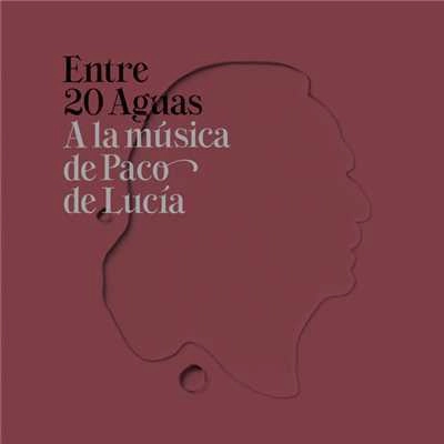 V.A. (ENTRE 20 AGUAS) / オムニバス / ENTRE 20 AGUAS - A LA MUSICA DE PACO DE LUCIA