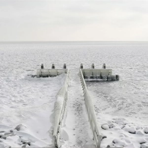 SILENT HARBOUR A.K.A.CONFORCE / HINTERLAND