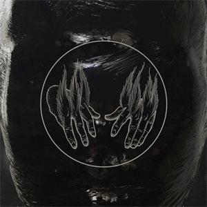 BIRDS IN ROW / WAITC / SPLIT (10")