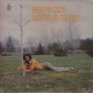 TREVOR DANDY / トレーボル・ダンディ / DON'T CRY LITTLE TREE