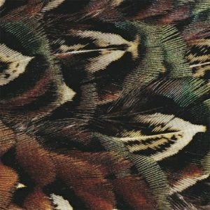 HODGE / ホッヂ / FORMS OF LIFE
