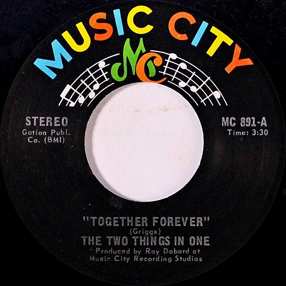 TWO THINGS IN ONE / トゥー・シングズ・イン・ワン / TOGETHER FOREVER