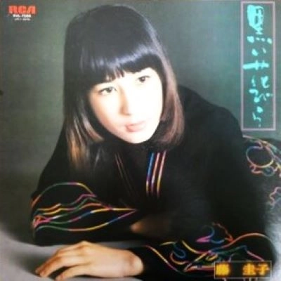 KEIKO FUJI / 藤圭子 / 黒い花びら