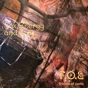 F.O.E.(HARUOMI HOSONO) / F.O.E.(細野晴臣) / セックス、エナジー&スター / SEX, ENERGY AND STAR