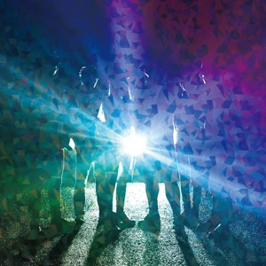 THE PRISONER (PUNK) / PRISM