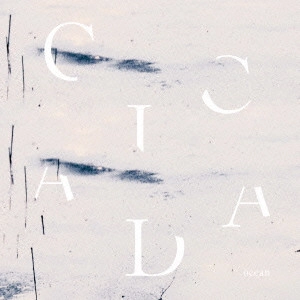 CICADA (TIWAN) / CICADA (台湾) / Ocean