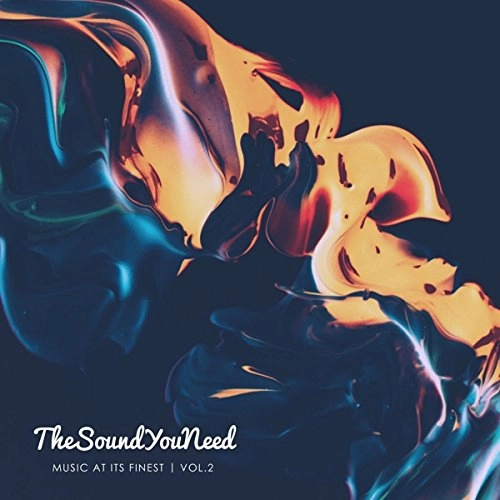 V.A. / THE SOUNDYOUNEED VOL 2