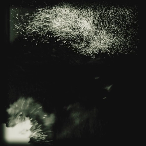 FINK / フィンク / FALL INTO THE LIGHT/PILGRIM