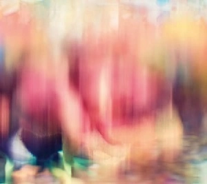 akisai / IMAGES