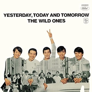THE WILD ONES / ザ・ワイルド・ワンズ / ワイルド･ワンズの世界（SHM-CD）