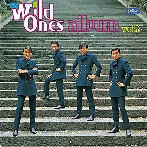 THE WILD ONES / ザ・ワイルド・ワンズ / ザ・ワイルド・ワンズ・アルバム 第2集