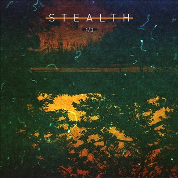 BEE MASK/PETER VAN HOESEN / STEALTH 1/3