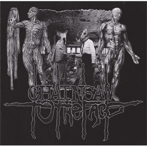CHAINSAW TO THE FACE / AGONIZING PAIN AND PERPETUAL MISERY