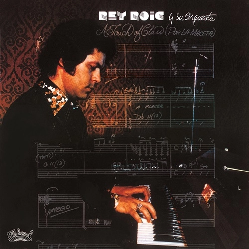 REY ROIG / レイ・ロイグ / POR LA MACETA / ポー・ラ・マセタ