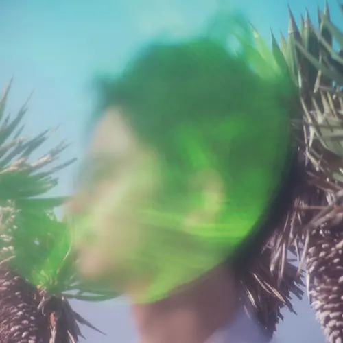 Nagaoka Ryosuke / 長岡亮介 / MIXED MESSAGE