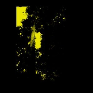 ISORINNE / 2061