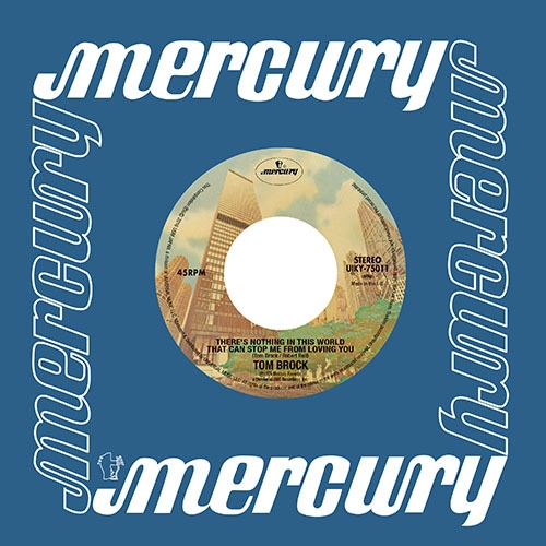 TOM BROCK / BARRY WHITE / トム・ブロック / バリー・ホワイト / ゼアズ・ナッシング／プレイング / THERE'S NOTHING IN THIS WORLD THAT CAN STOP ME FROM LOVING YOU / PLAYING YOUR GAME, BABY