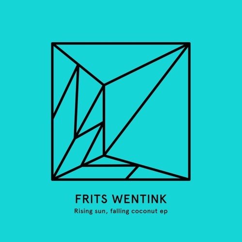 FRITS WENTINK / RISING SUN, FALLING COCONUT EP