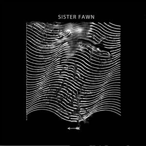 FULL OF HELL / MERZBOW / SISTER FAWN (LIMITED TO 1000)