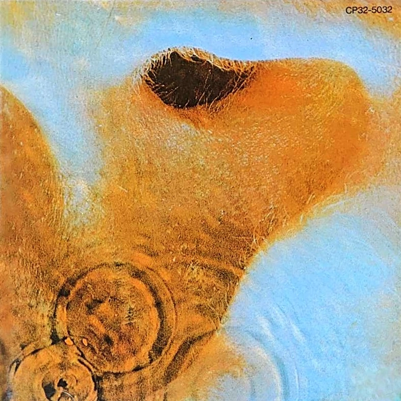 PINK FLOYD / ピンク・フロイド / おせっかい
