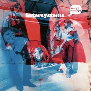 INTERSYSTEMS / インターシステムズ / INTERSYSTEMS