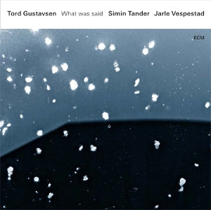TORD GUSTAVSEN / トルド・グスタフセン / WHAT WAS SAID