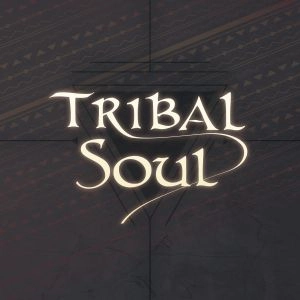 TRIBAL SOUL / トライバル・ソウル / トライバル・ソウル / TRIBAL SOUL
