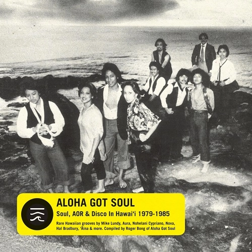 V.A. (ALOHA GOT SOUL) / オムニバス / アロハ･ガット･ソウル: コンパイルド･バイ･ロジャー･ボン / ALOHA GOT SOUL: SOUL, AOR & DISCO IN HAWAI'I 1979-1985