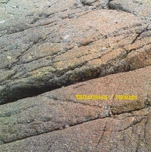 THIRDORGAN / Thirdorgan / Phoresy ‎– Sprit