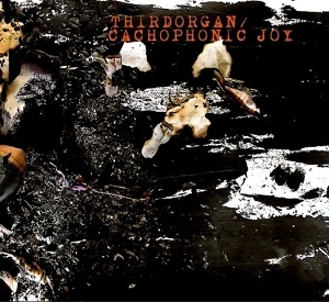 THIRDORGAN / Cacophonic Joy, Thirdorgan -Sprit